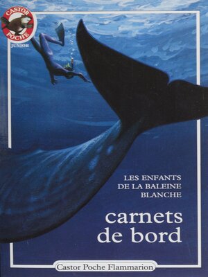 cover image of Carnets de bord